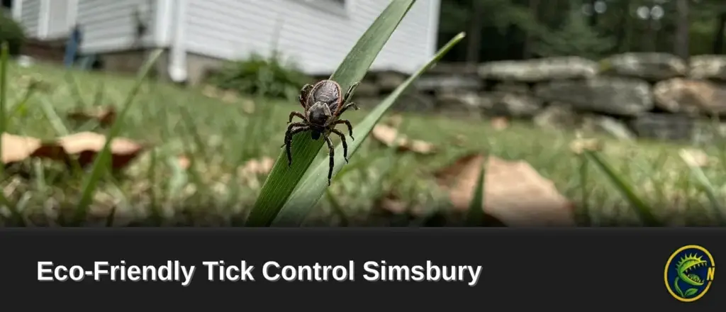 Ticks found in Connecticut and Western Massachusetts yards can transmit Lyme disease and other illnesses