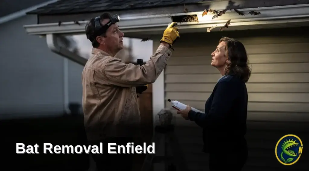 Nukingstreet is based in Enfield, Connecticut, giving homeowners a local point of contact for scheduling