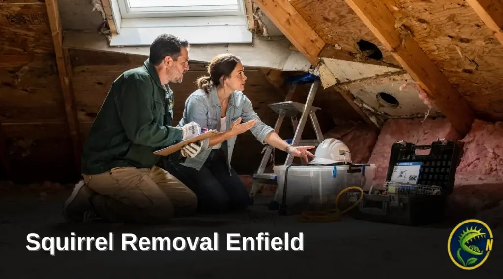 Nukingstreet Pest & Wildlife Control operates out of Enfield, CT, giving homeowners in Northern CT