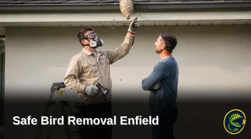 Nukingstreet Pest & Wildlife Control, LLC operates out of Enfield, CT, serving the surrounding region