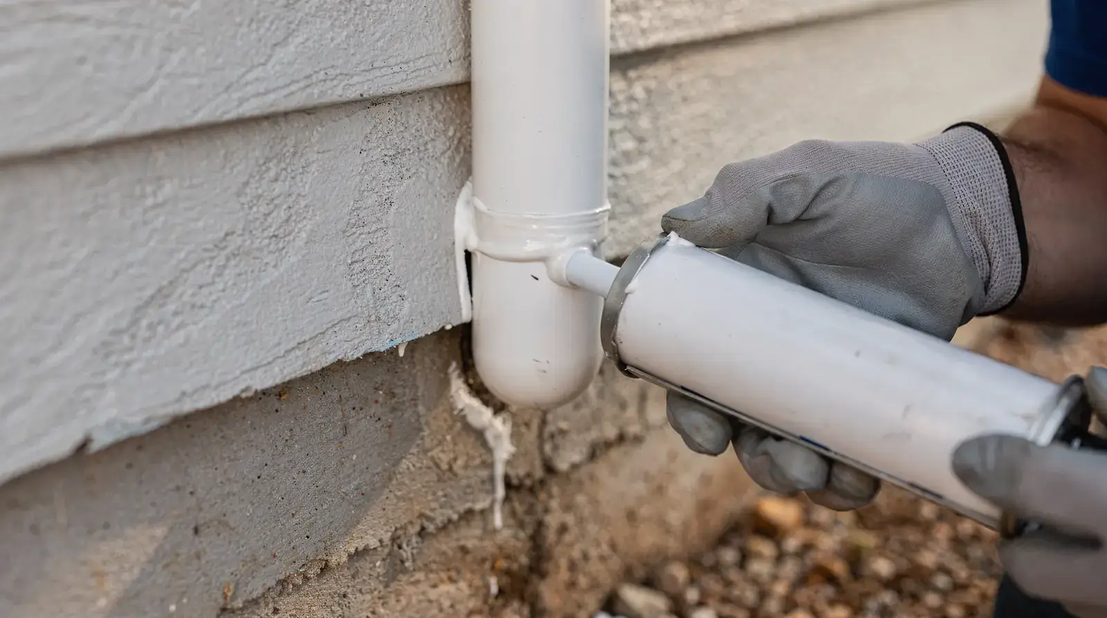 Technicians identify weak points on a structure and secure them so animals cannot re-enter