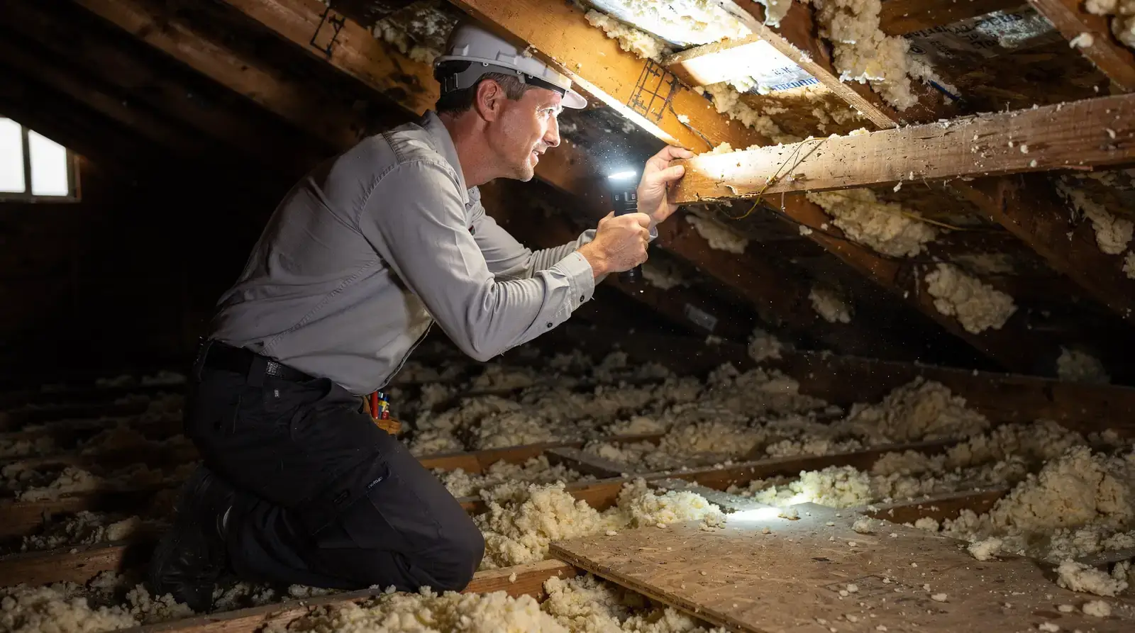 A free inspection allows a wildlife control professional to assess the extent of the infestation