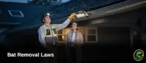 Sealing bat entry points during maternity season is illegal and inhumane because pups become trapped