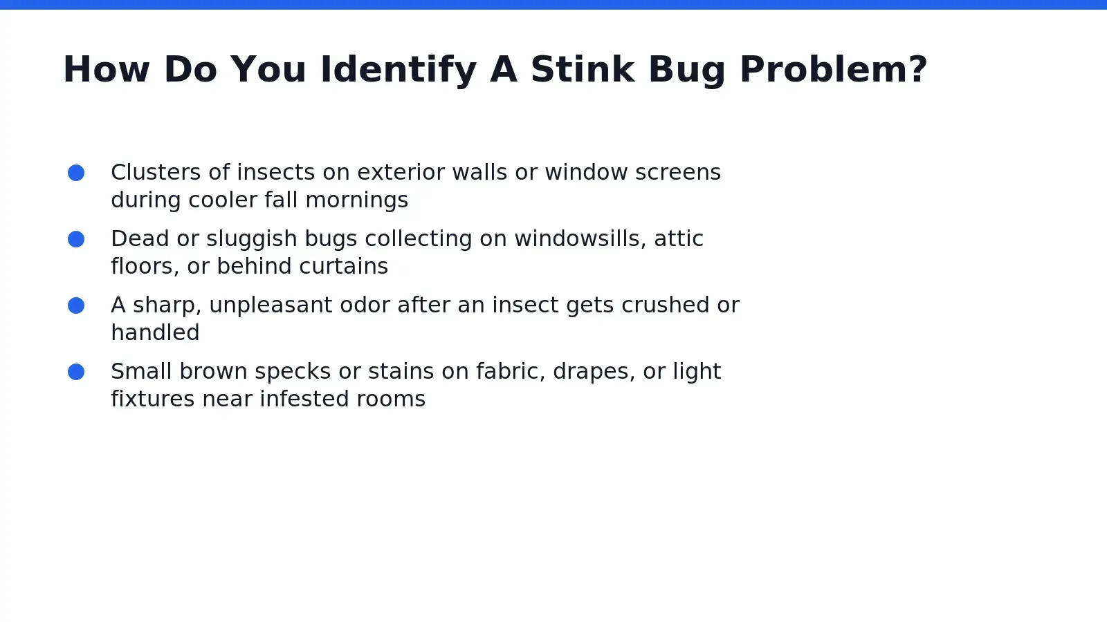 Shield-shaped bodies, marbled brown-and-white banding along the antennae, and slow clustering along sunny walls mark