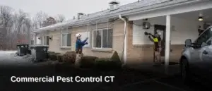 Cold months push rodents, insects, and other pests toward warm, food-rich shelter, and Connecticut food