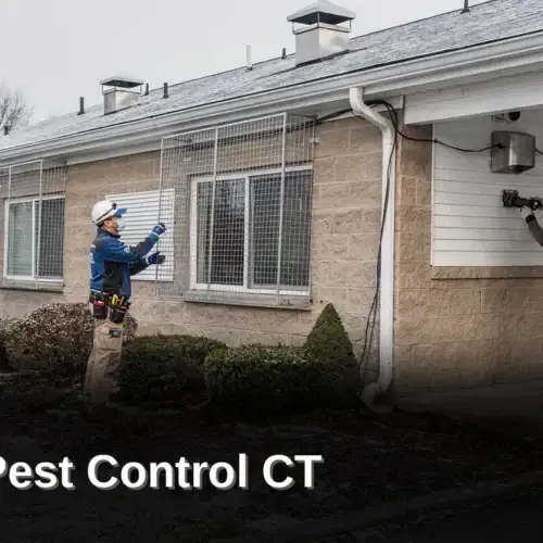 Commercial Pest Control in Simsbury, CT: Winter Food Safety in Connecticut